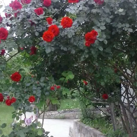 ホテル Paradise Madzharovo